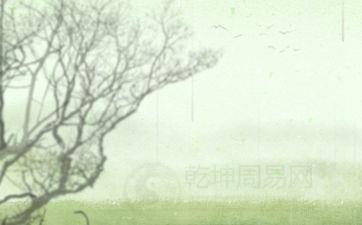 今日是嫁娶大吉日吗 2025年5月9日结婚合适吗