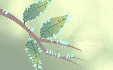2025年5月9日合适纳采吗 今日黄历查询
