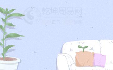 今日考试好吗 2025年5月9日考试好不好